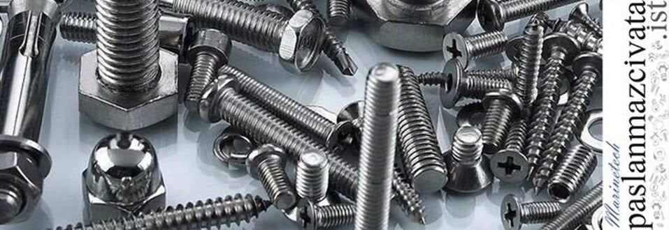 Paslanmaz Vida Seçerken Dikkat Etmeniz Gereken 5 Altın Kural