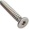 DIN 14586 PASLANMAZ TORX HB SAÇ VİDASI