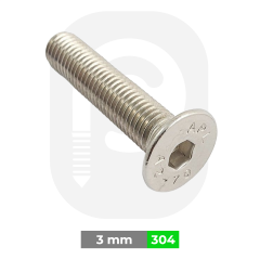 M3 Paslanmaz Civata Havşa Baş İmbus (DIN 7991) 3x10