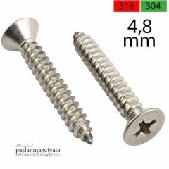 4,8 mm Paslanmaz (YHB) Saç Vidası DIN7982