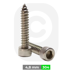 4,8 mm Paslanmaz İmbus Baş Sac Vidası  (DIN9051)