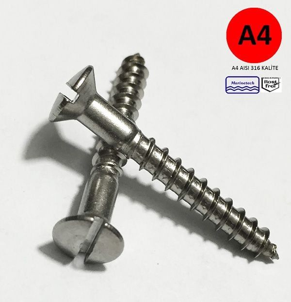 2,5mm Paslanmaz (MB) Ağaç Vidası DIN95