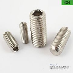 2,5mm Paslanmaz Setskur  DIN916
