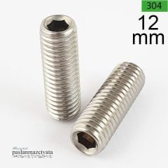 12mm Paslanmaz Setskur  DIN916