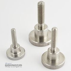 Paslanmaz Ayar Vidası Tırtıllı DIN464