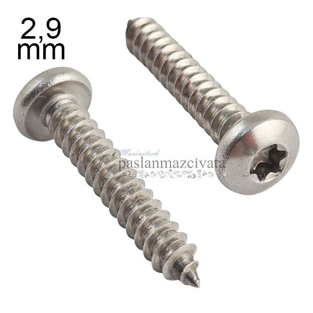 2,9mm Paslanmaz Torx SB Saç Vidası DIN7981TX