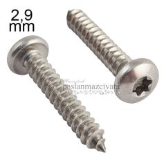 2,9mm Paslanmaz Torx SB Saç Vidası DIN7981TX