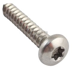5,5mm Paslanmaz Torx SB Saç Vidası DIN7981TX