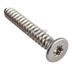 3,5mm Paslanmaz Torx HB Saç Vidası DIN7982TX