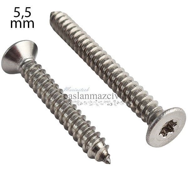 5,5mm Paslanmaz Torx HB Saç Vidası DIN7982TX