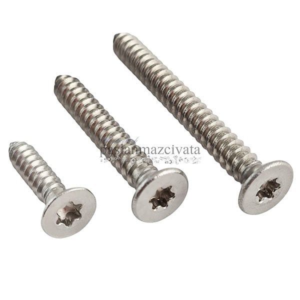 3,9mm Paslanmaz Torx HB Saç Vidası (DIN7982TX) 3,9x32