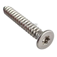 4,2mm Paslanmaz Torx HB Saç Vidası DIN7982TX 4,2x13