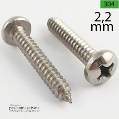 2,2mm  Paslanmaz (YSB) Saç Vidası DIN7981 2,2x19