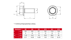 M12 Paslanmaz  Flanşlı Civata  DIN6921