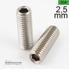M2,5 Paslanmaz Setskur (DIN916) 2,5x20